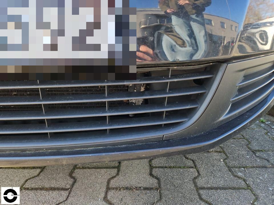 Frontansicht, Kühlergrill mit Lackschaden und Kratzern, Stoßstange unten