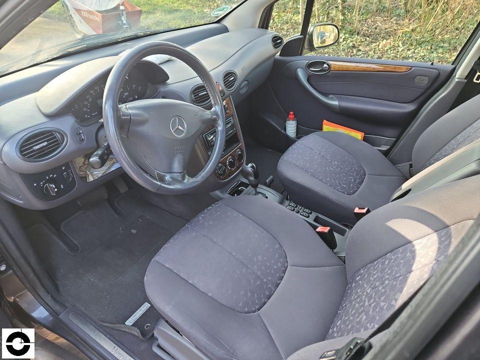 Innenraum Fahrerseite, Blick auf Lenkrad, Sitze und Armaturenbrett, keine Schäden erkennbar