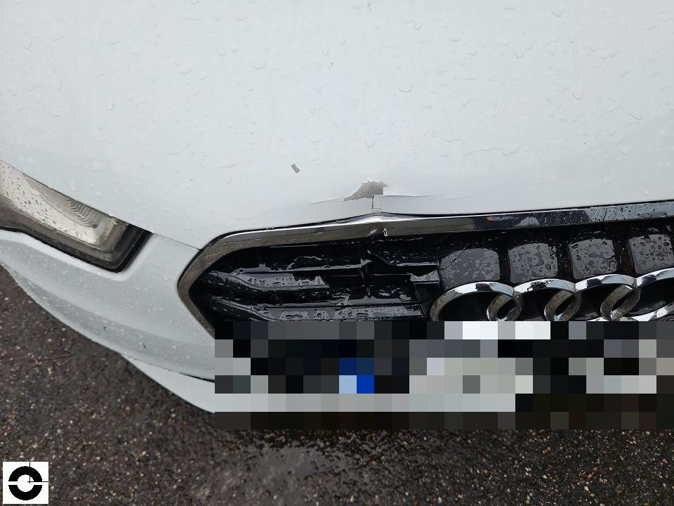 Frontansicht, Lackabplatzer auf Motorhaube oberhalb des Kühlergrills, Regentropfen sichtbar