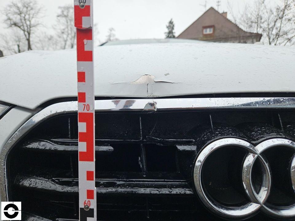 Frontgrill mit Audi-Emblem, Lackabplatzer an Chromleiste, Messlatte zur Höhendokumentation